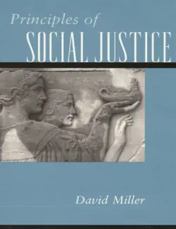 principles of social justice book cover image