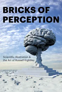 bricks of perception imagen de la portada del libro