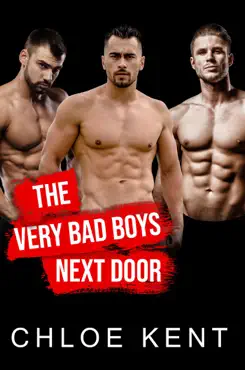 the very bad boys next door book cover image