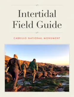 intertidal book cover image