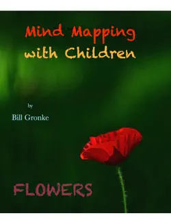 mind mapping book cover image