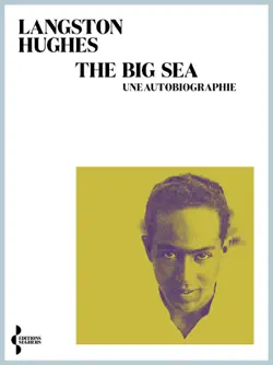 the big sea book cover image