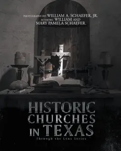 historic churches in texas book cover image