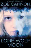 Lone Wolf Moon synopsis, comments
