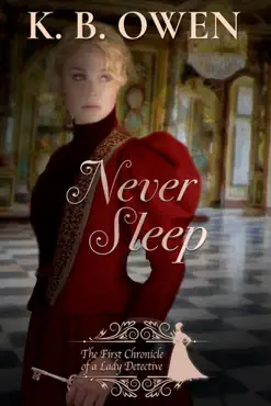 never sleep book cover image