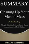 Cleaning Up Your Mental Mess synopsis, comments