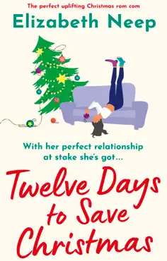 twelve days to save christmas book cover image