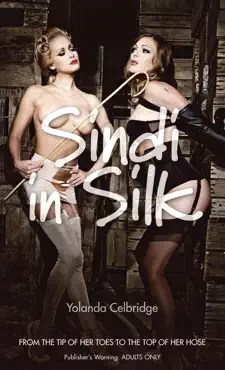 sindi in silk book cover image