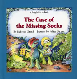 the case of the missing socks book cover image