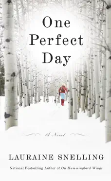 one perfect day book cover image