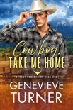 Cowboy, Take Me Home e-book