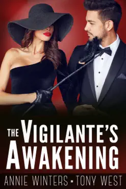 the vigilante's awakening book cover image