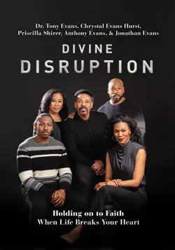 divine disruption book cover image