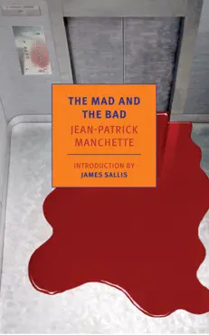 the mad and the bad book cover image