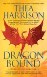 Dragon Bound synopsis, comments