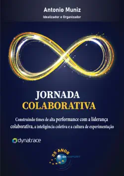 jornada colaborativa book cover image