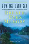 Breath, Eyes, Memory synopsis, comments