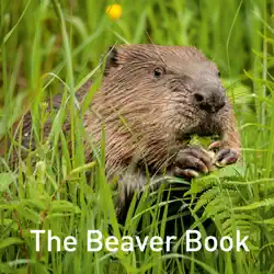 the beaver book imagen de la portada del libro