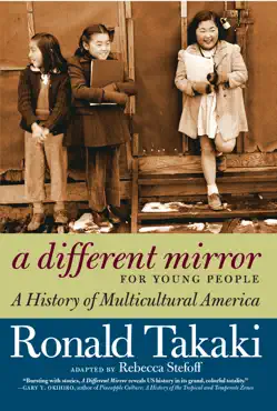a different mirror for young people book cover image