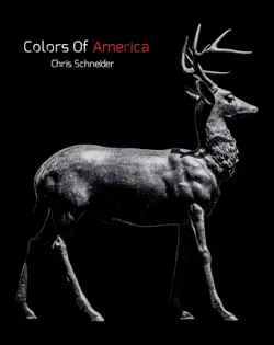 colors of america book cover image