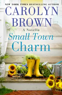 small town charm book cover image
