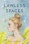 Lawless Spaces synopsis, comments