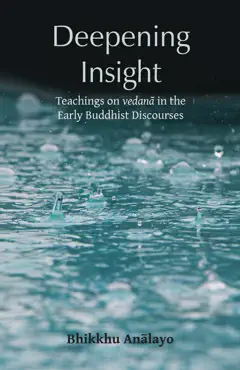 deepening insight book cover image