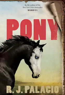 pony book cover image
