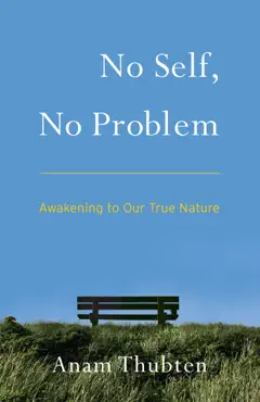 no self, no problem book cover image