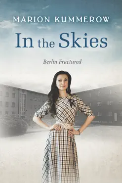 in the skies book cover image