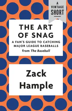 the art of snag book cover image