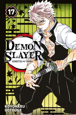 demon slayer t17 book cover image