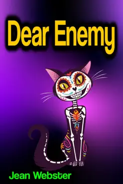 dear enemy book cover image