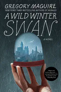 a wild winter swan book cover image