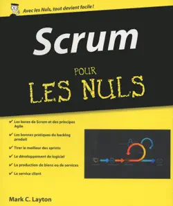scrum pour les nuls book cover image