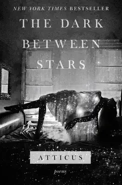 the dark between stars book cover image
