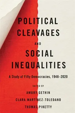 political cleavages and social inequalities book cover image