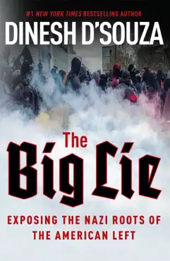 the big lie book cover image