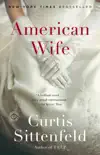 American Wife synopsis, comments
