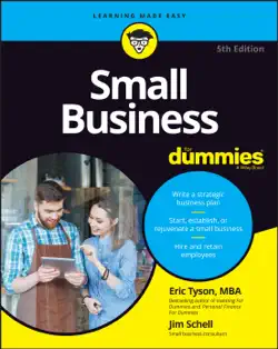 small business for dummies book cover image