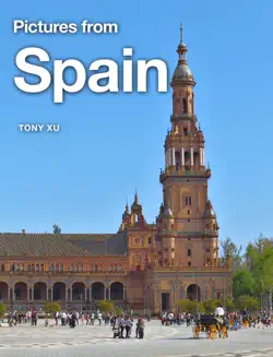pictures from spain book cover image