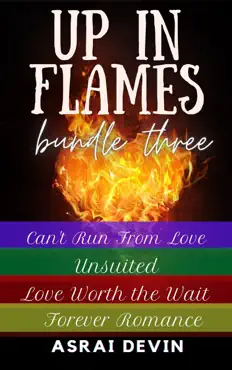 up in flames bundle three book cover image