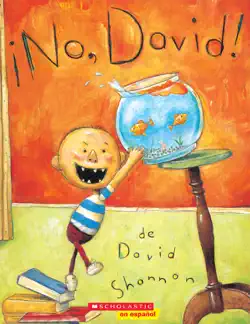 ¡no, david! book cover image