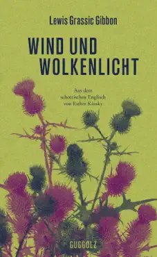 wind und wolkenlicht book cover image