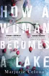 How a Woman Becomes a Lake sinopsis y comentarios