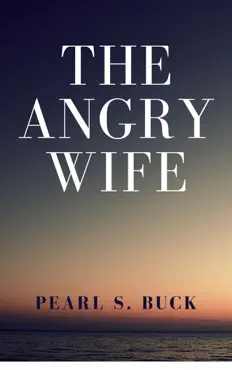 the angry wife book cover image