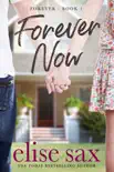 Forever Now (A Young Adult Romance) sinopsis y comentarios