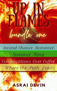up in flames bundle one book cover image