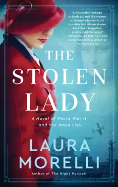 the stolen lady book cover image