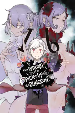 is it wrong to try to pick up girls in a dungeon?, vol. 16 (light novel) book cover image